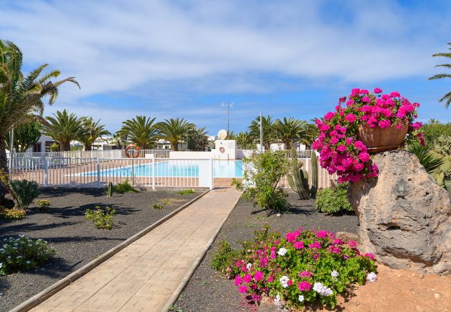 House in Playa Blanca - Casa La Goleta, Volcán y Mar House in Playa Blanca - Casa La Goleta, Volcán y Mar