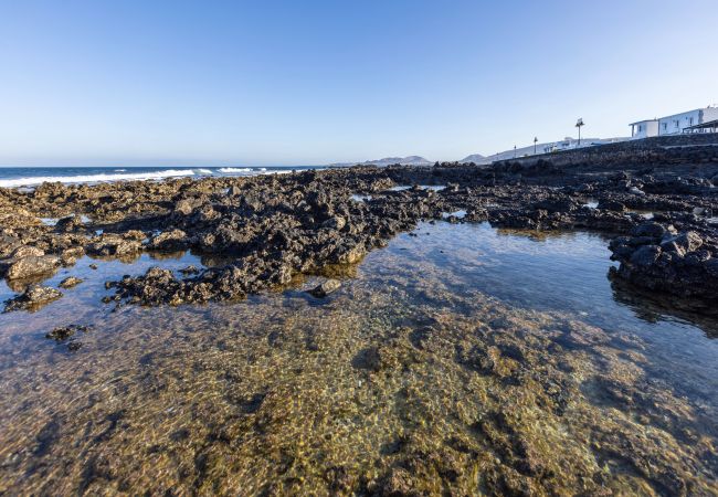 Chalet in Punta Mujeres - ROCAMAR, Sol y Mar Chalet in Punta Mujeres - ROCAMAR, Sol y Mar