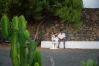 Villa in La Vegueta - Villa Cubo, Lava y Volcán